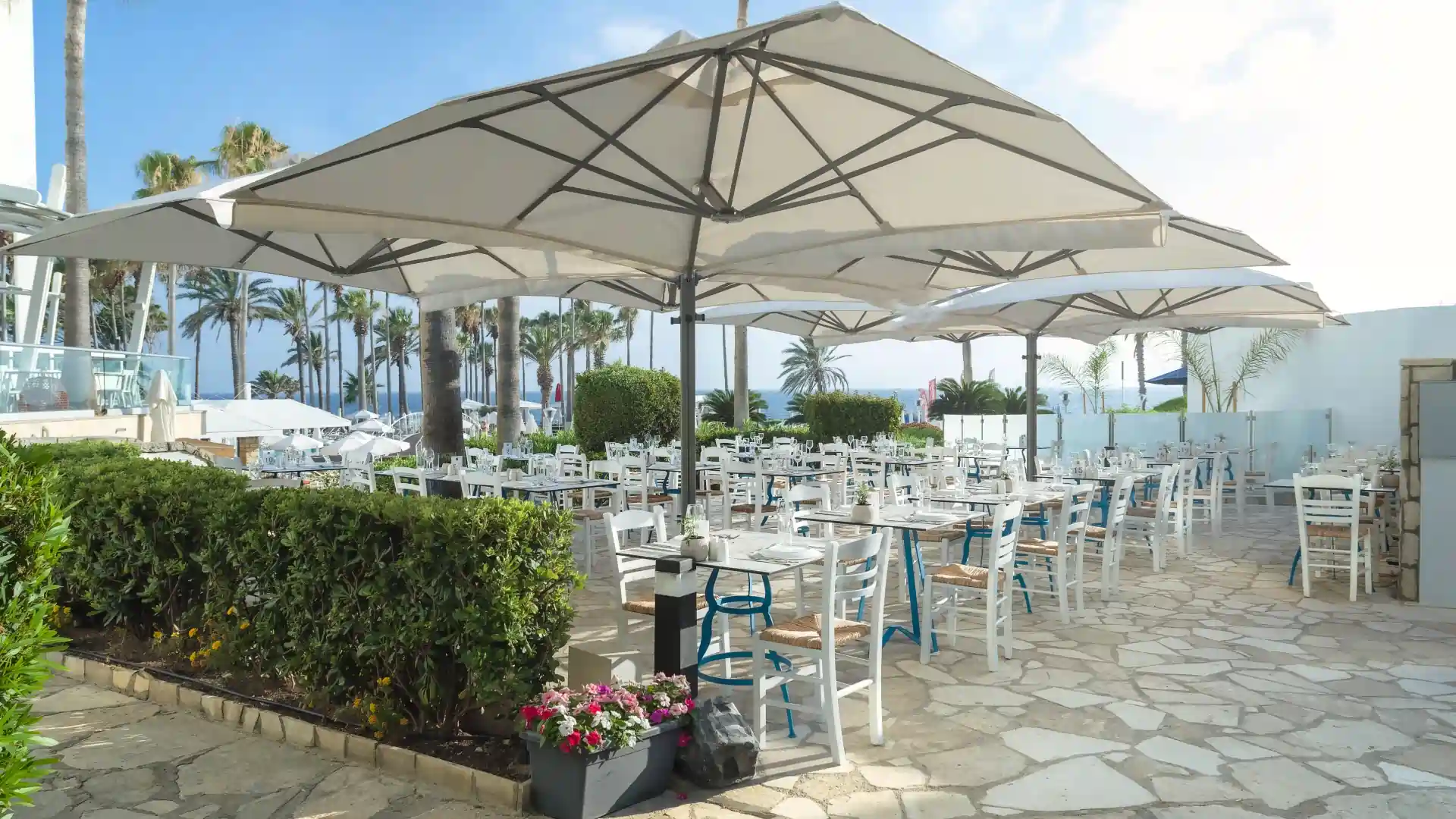 Leonardo Plaza Cypria Maris Beach Hotel & Spa - Mourayio Greek Taverna
