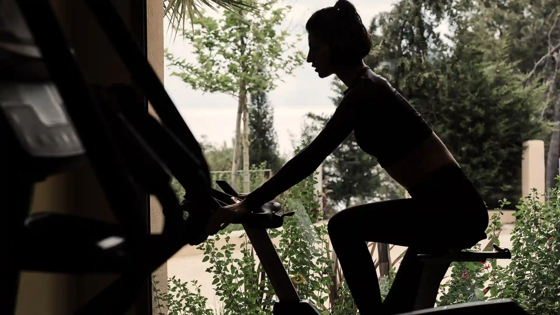 NALU latchi Leonardo Limited Edition - Gym