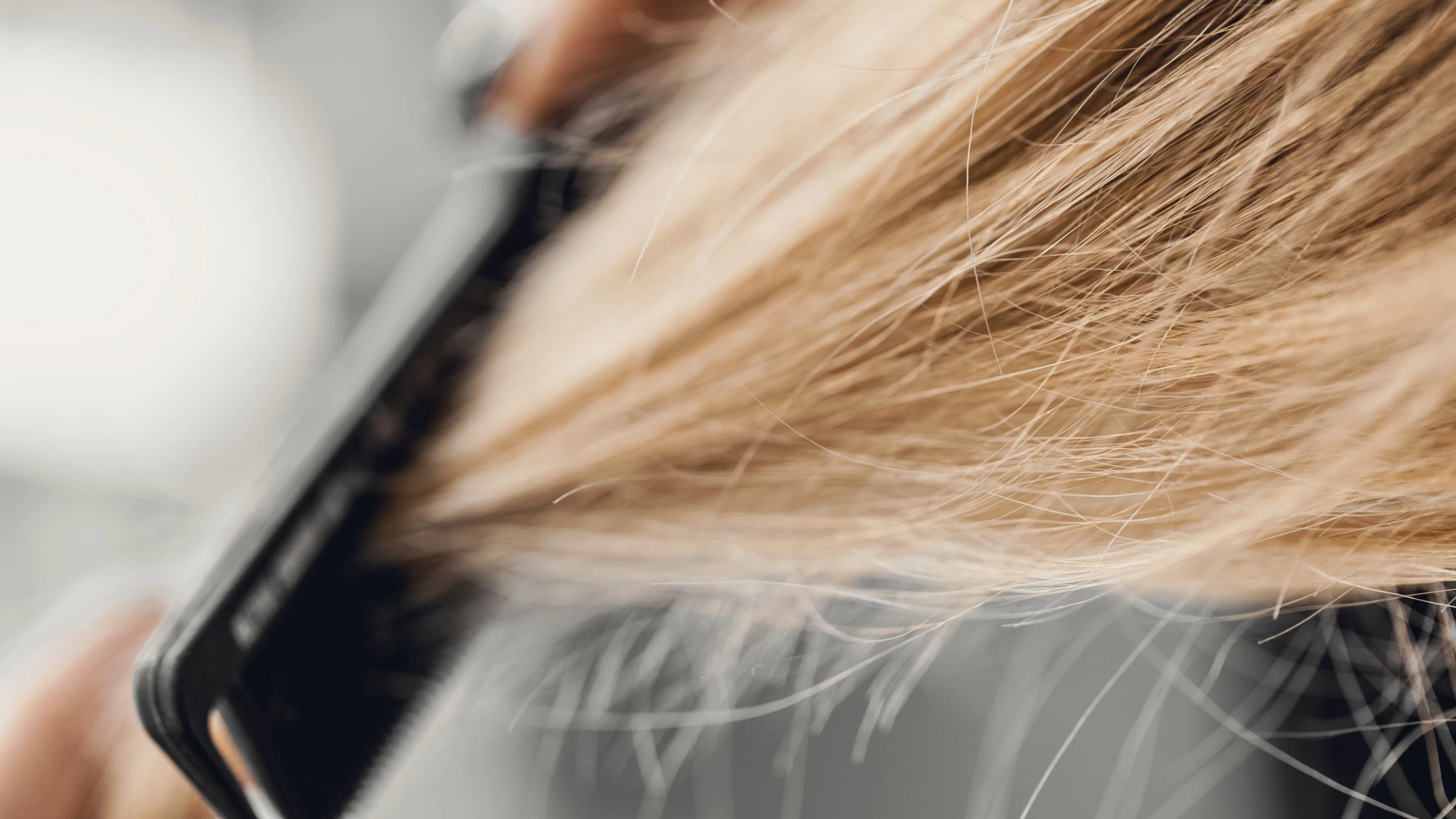 NALU Latchi Leonardo Limited Edition - Hair Salon & Grooming Services