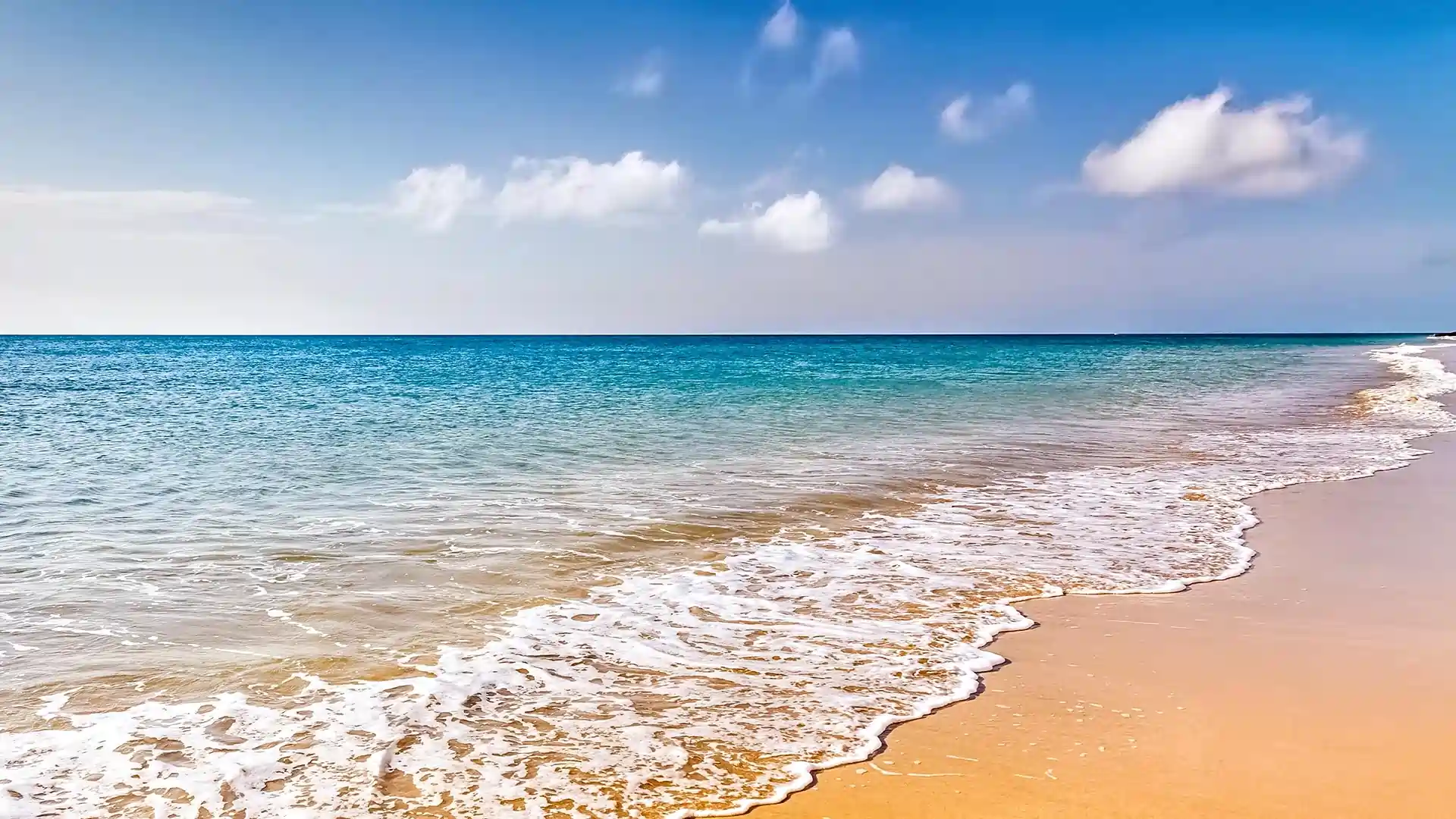 Leonardo Hotels & Resorts Mediterranean
