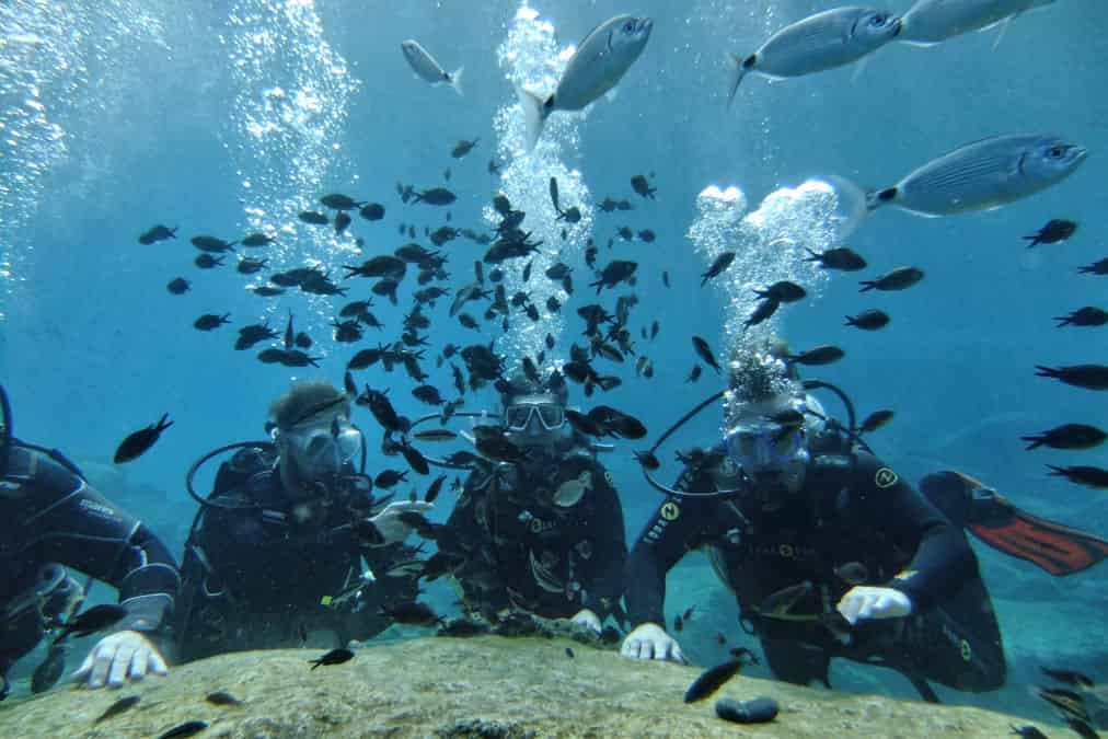 DGR Scuba Diving