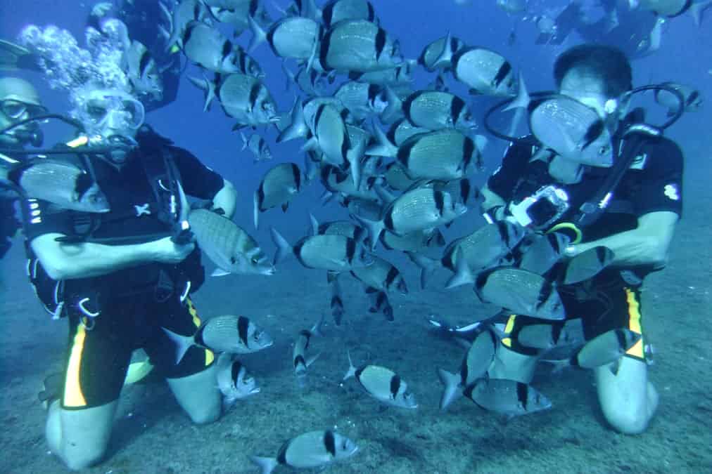 DGR Scuba Diving