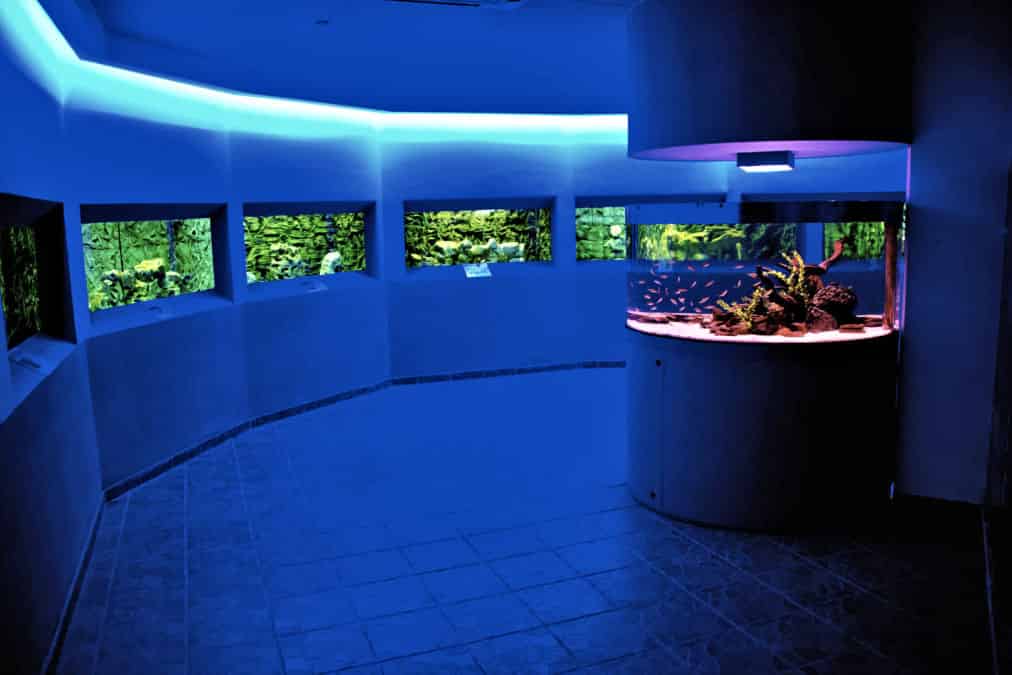 Ocean Aquarium