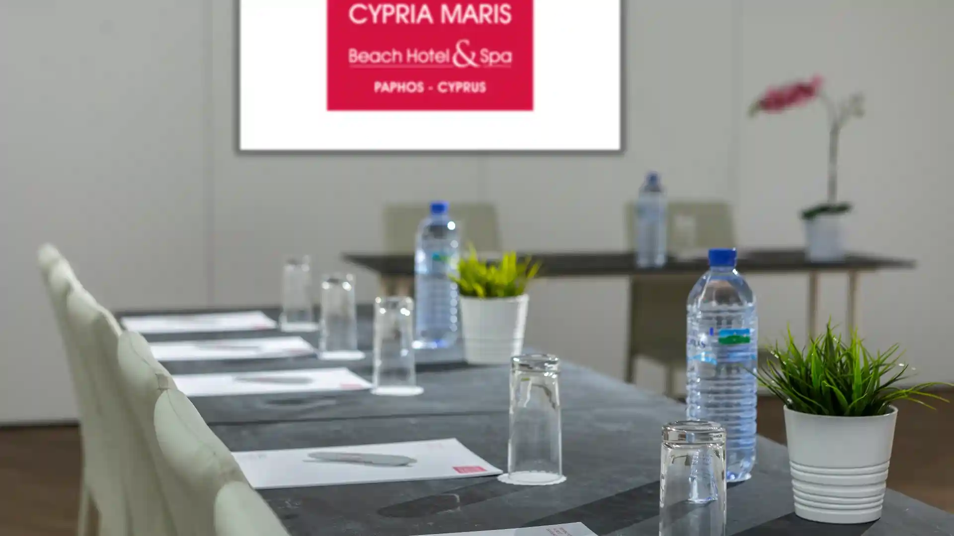 Leonardo Plaza Cypria Maris Beach Hotel & Spa - Meetings & Events