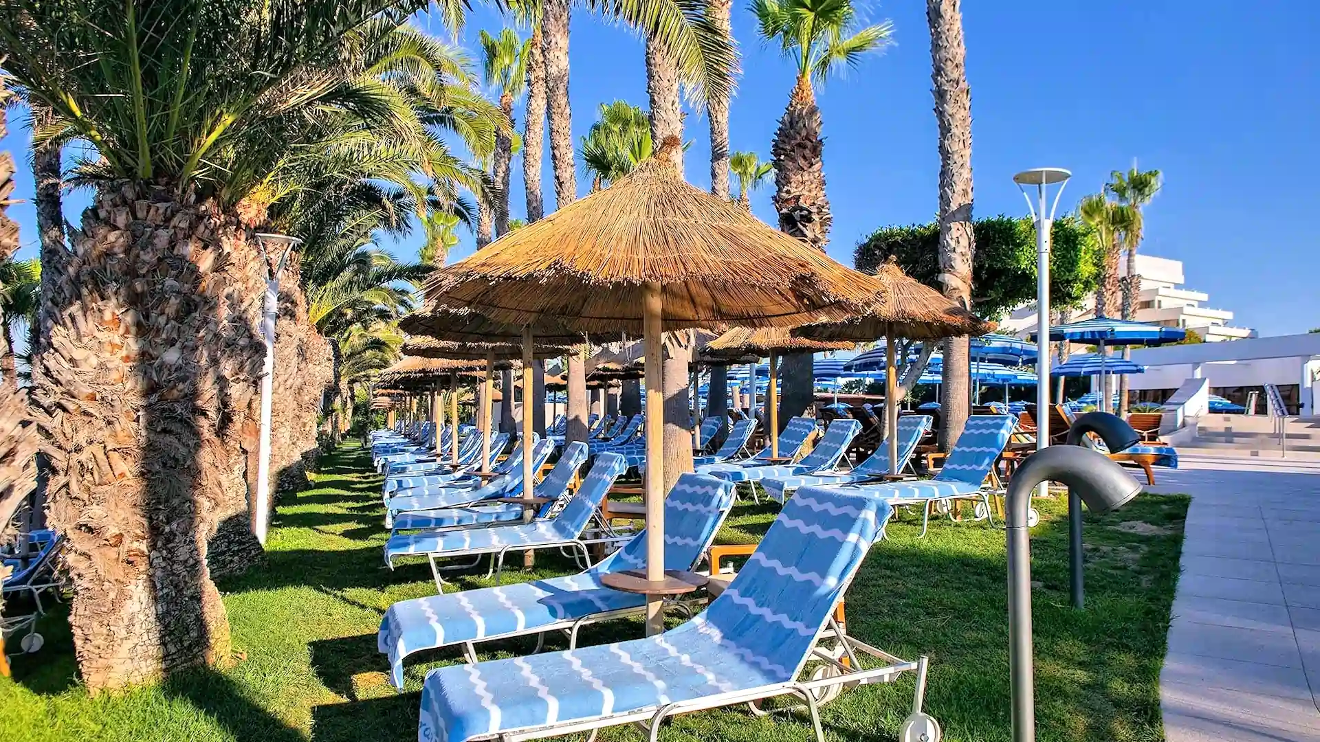 Leonardo Hotels & Resorts Mediterranean - photoThumb_9