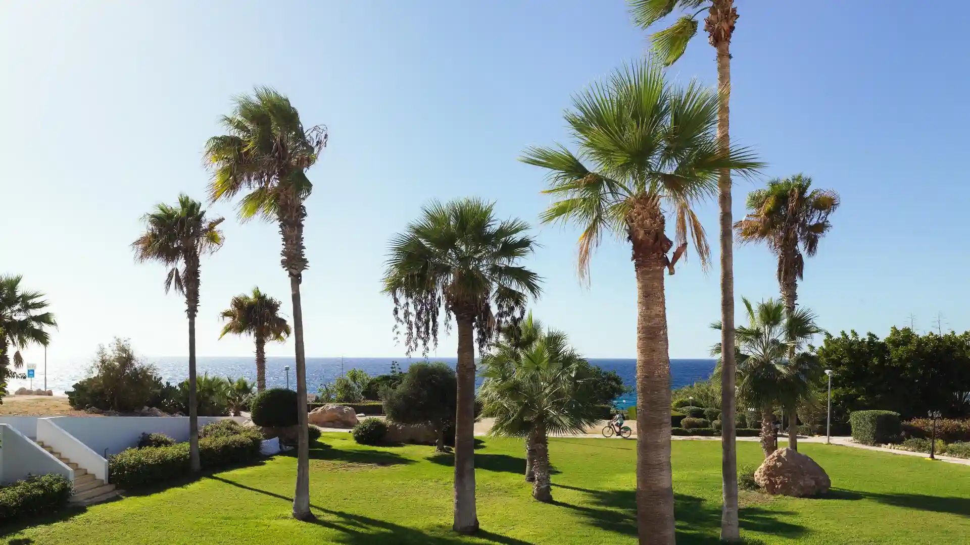 Junior Suite Sea View